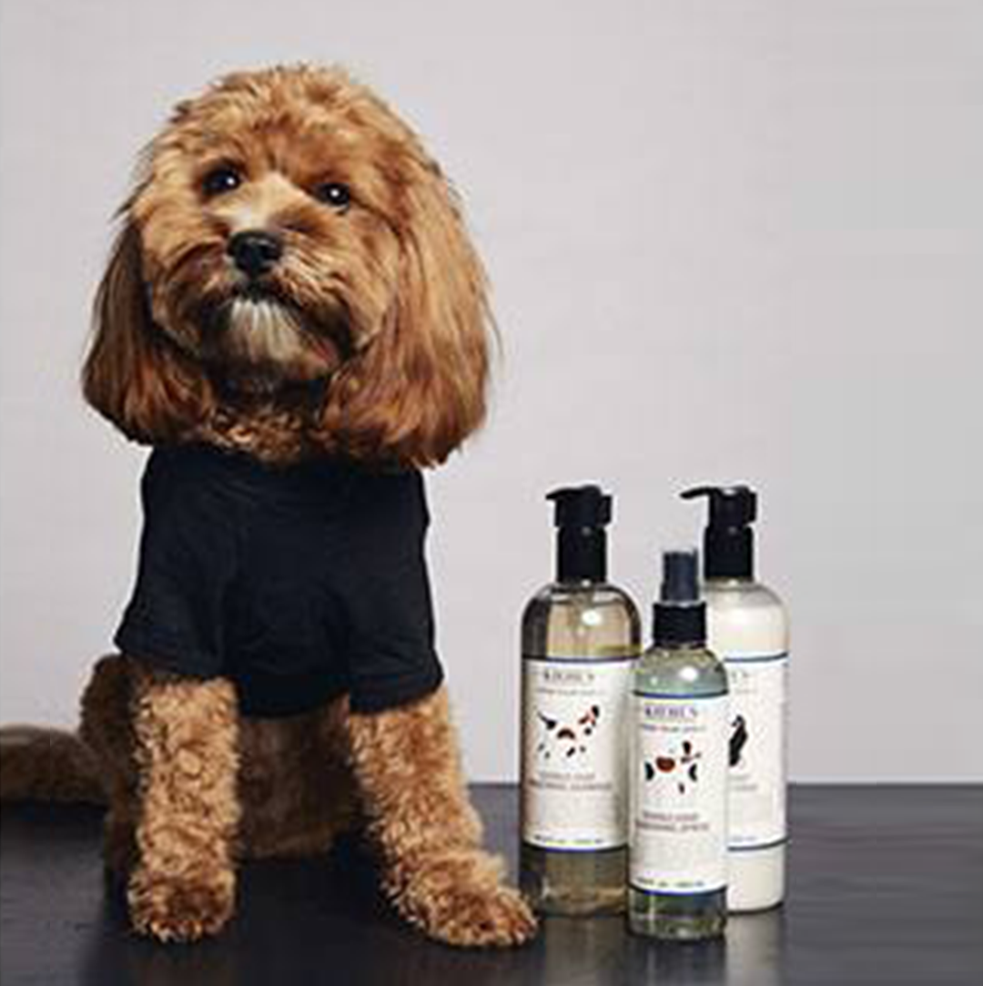 CuddlyCoat Grooming Shampoo Dog Shampoo Kiehl's UK