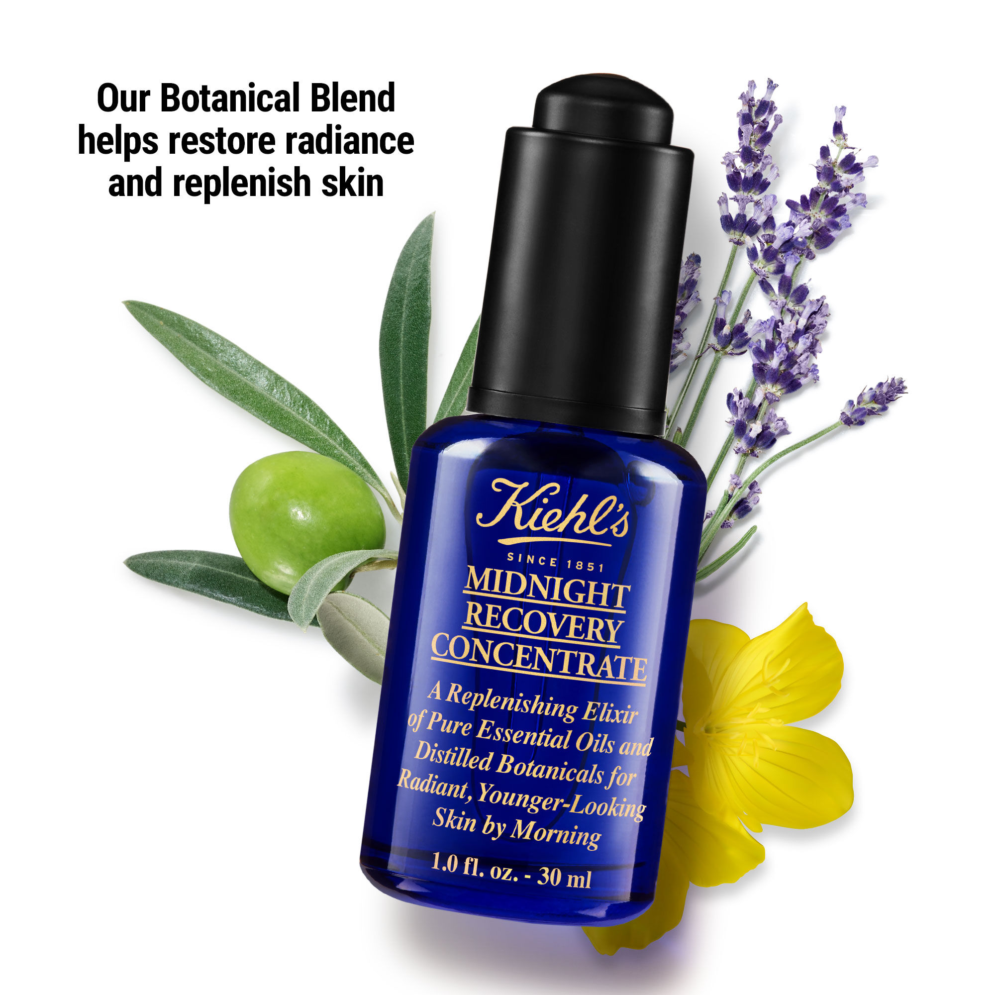 Kiehl's midnight hotsell recovery serum