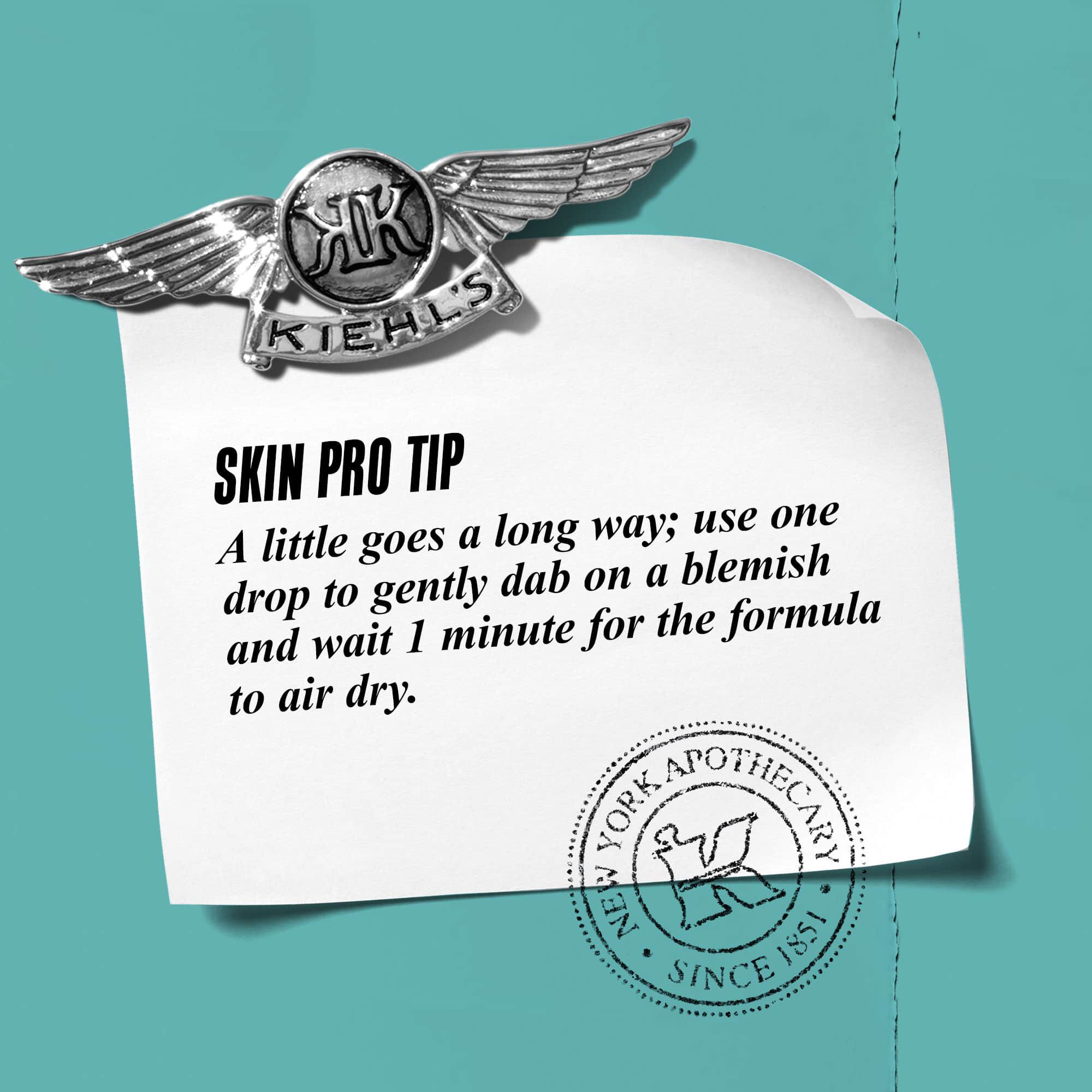 A graphic with text reading "Skin Pro Tip: A little goes a long way: use one drop to gently dab on a blemish and wait 1 minute for the formula to dry."