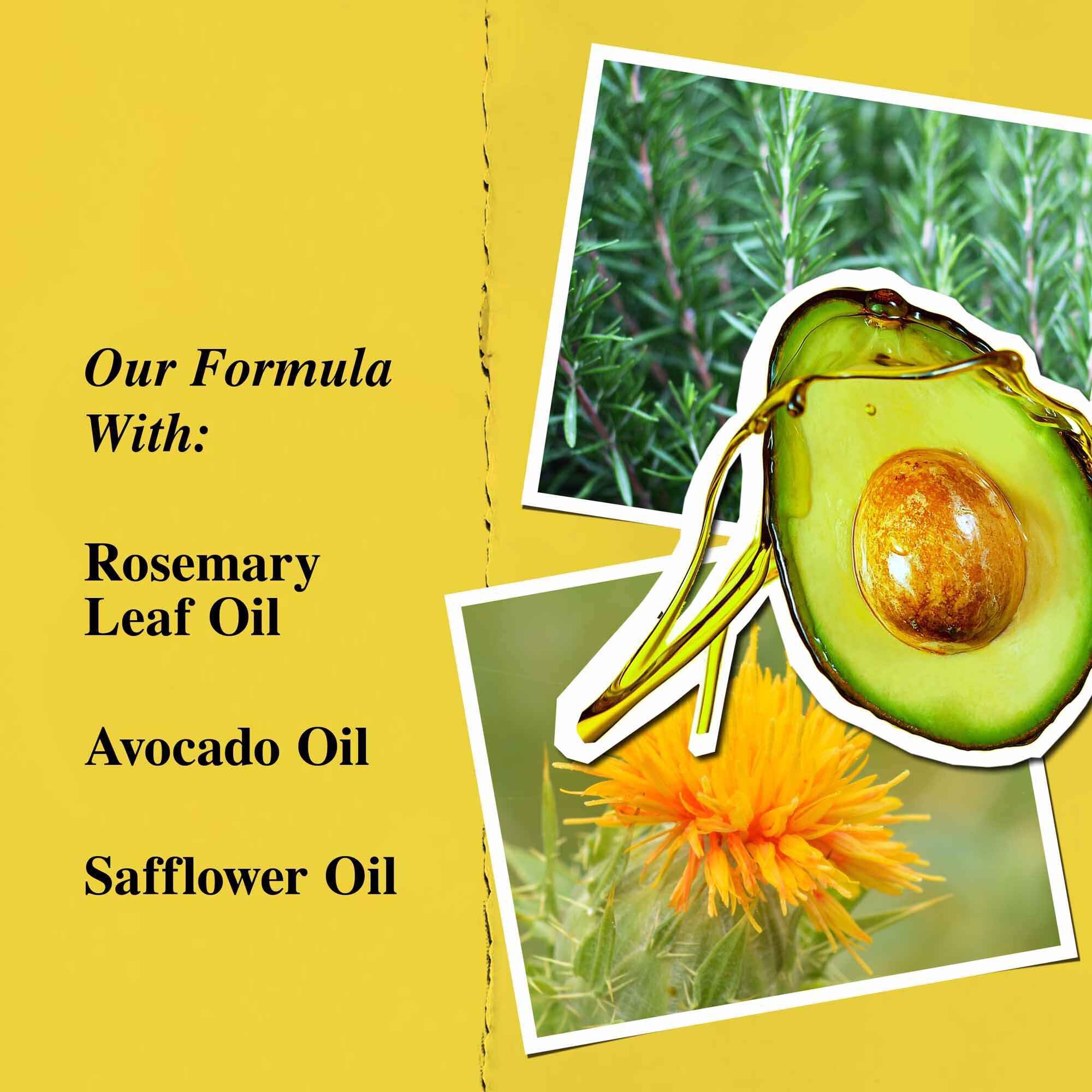 Key ingredients graphic highlighting Rosemary Leaf Oil, Avocado Oil, and Sunflower Oil.