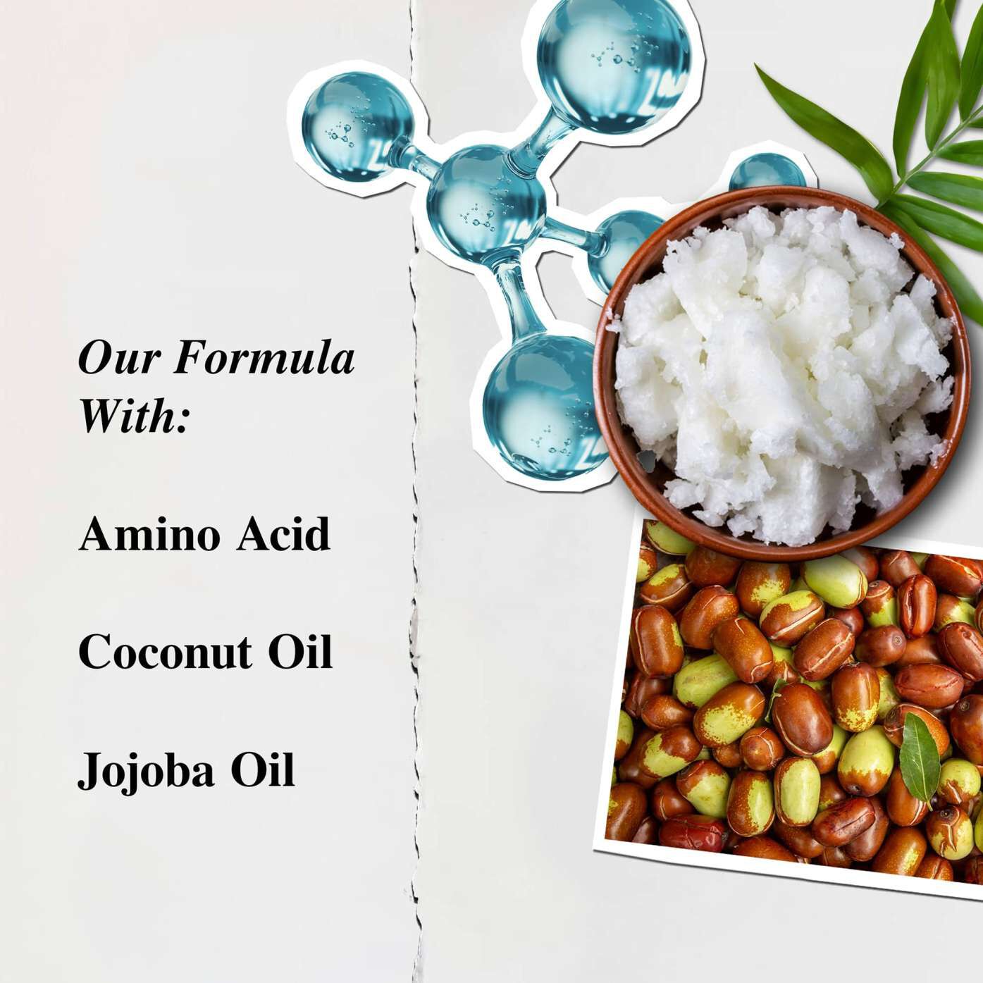 Kiehl's Amino Acid Conditioner ingredient illustration - Amino Acid, Coconut Oil, Jojoba Oil