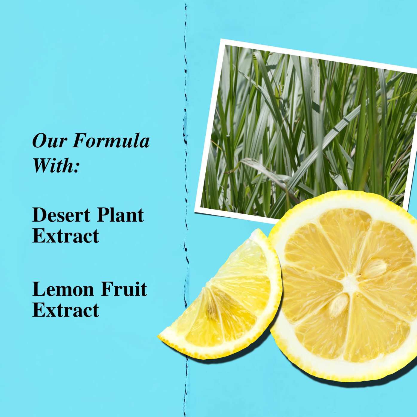 Key ingredients graphic highlighting desert plant extract and lemon fruit extract.