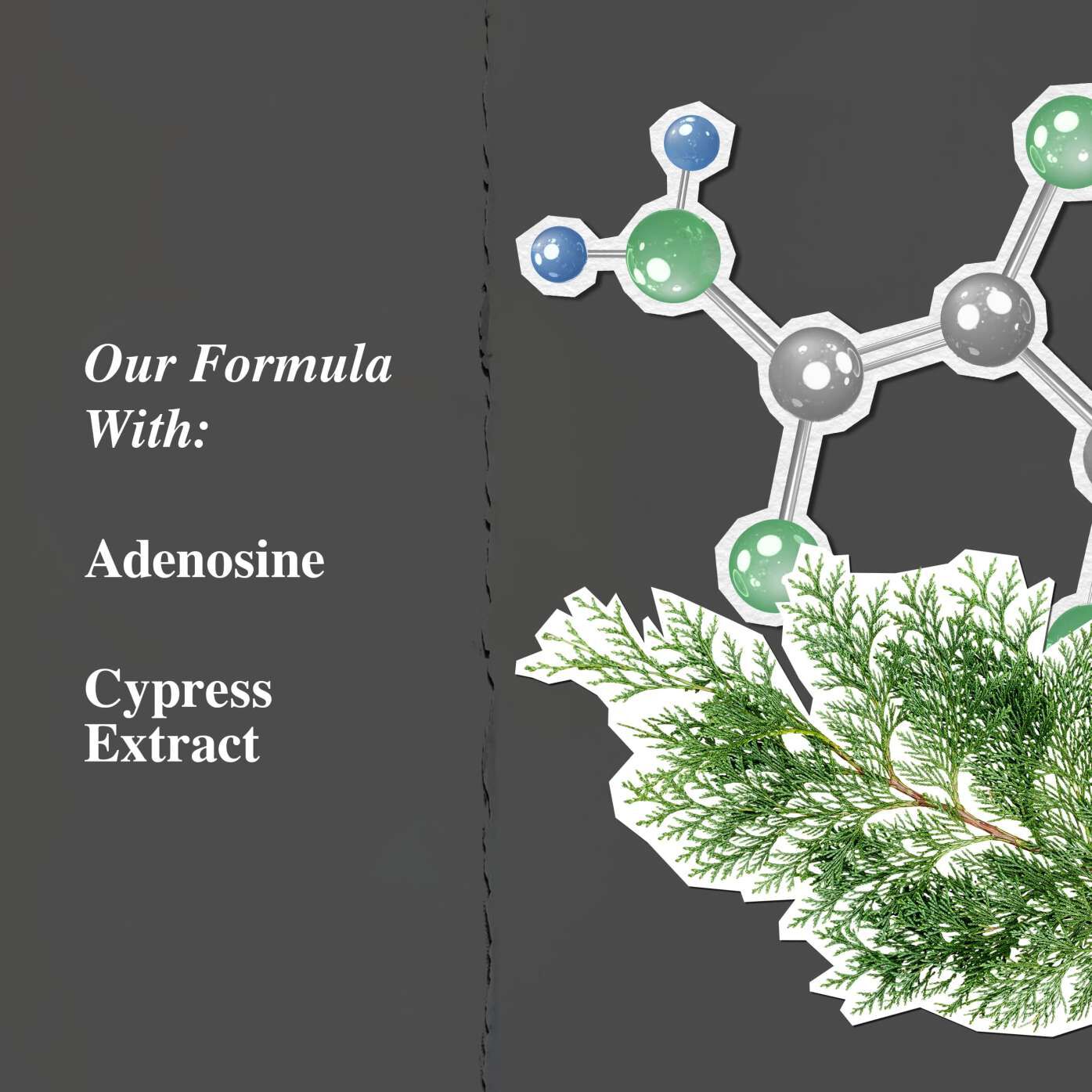 Key ingredients graphic highlighting Adenosine and Cypress Extract.