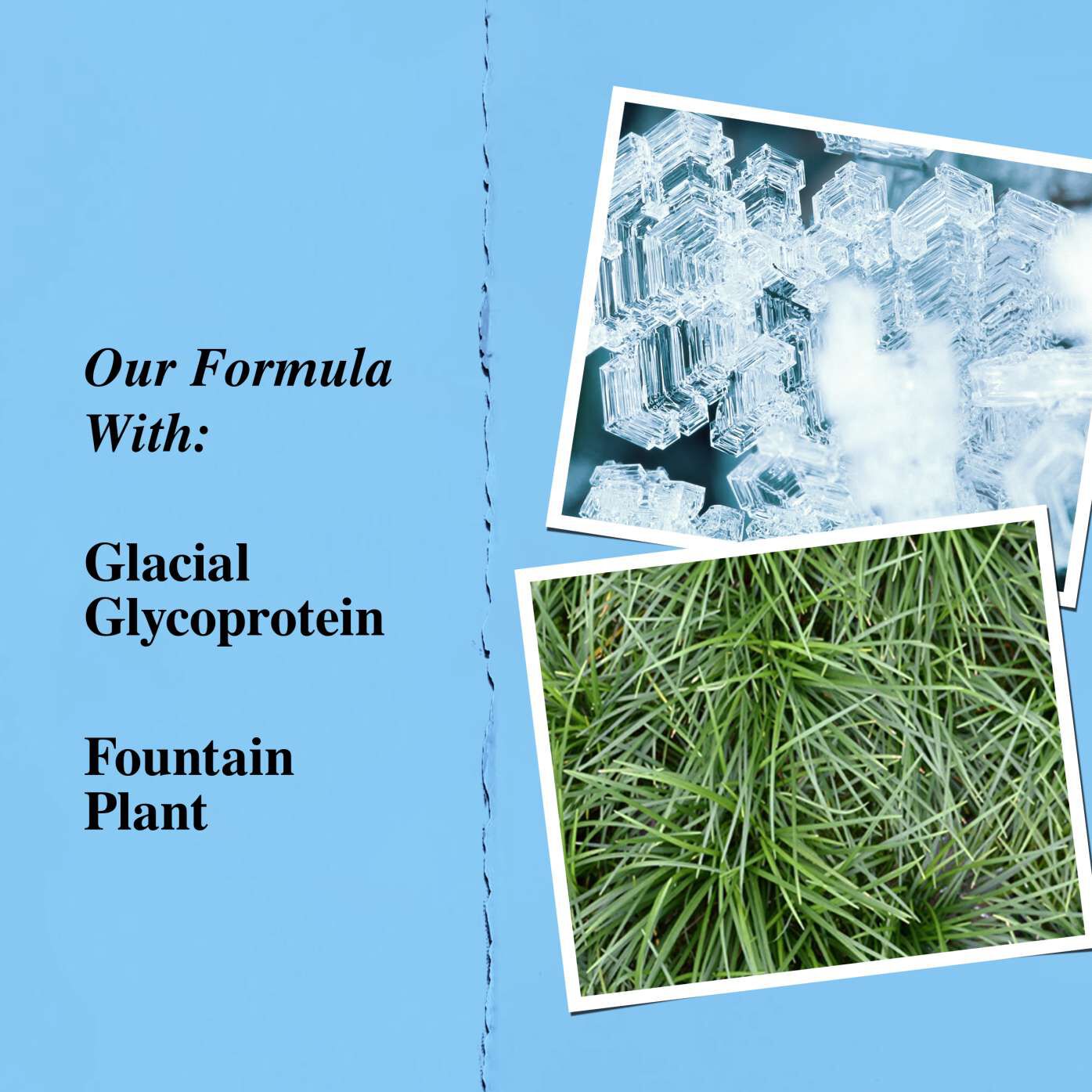 Key ingredients graphic highlighting glacial glycoprotein and fountain plant.