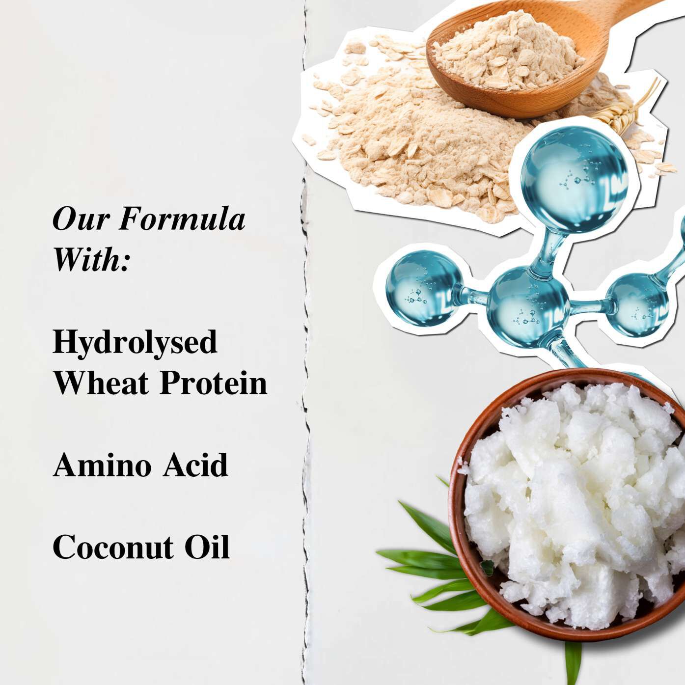 Kiehl's Amino Acid Shampoo Ingredients - Hydrolyzed Wheat Protein, Amino Acid, Fairly Traded Coconut Oil