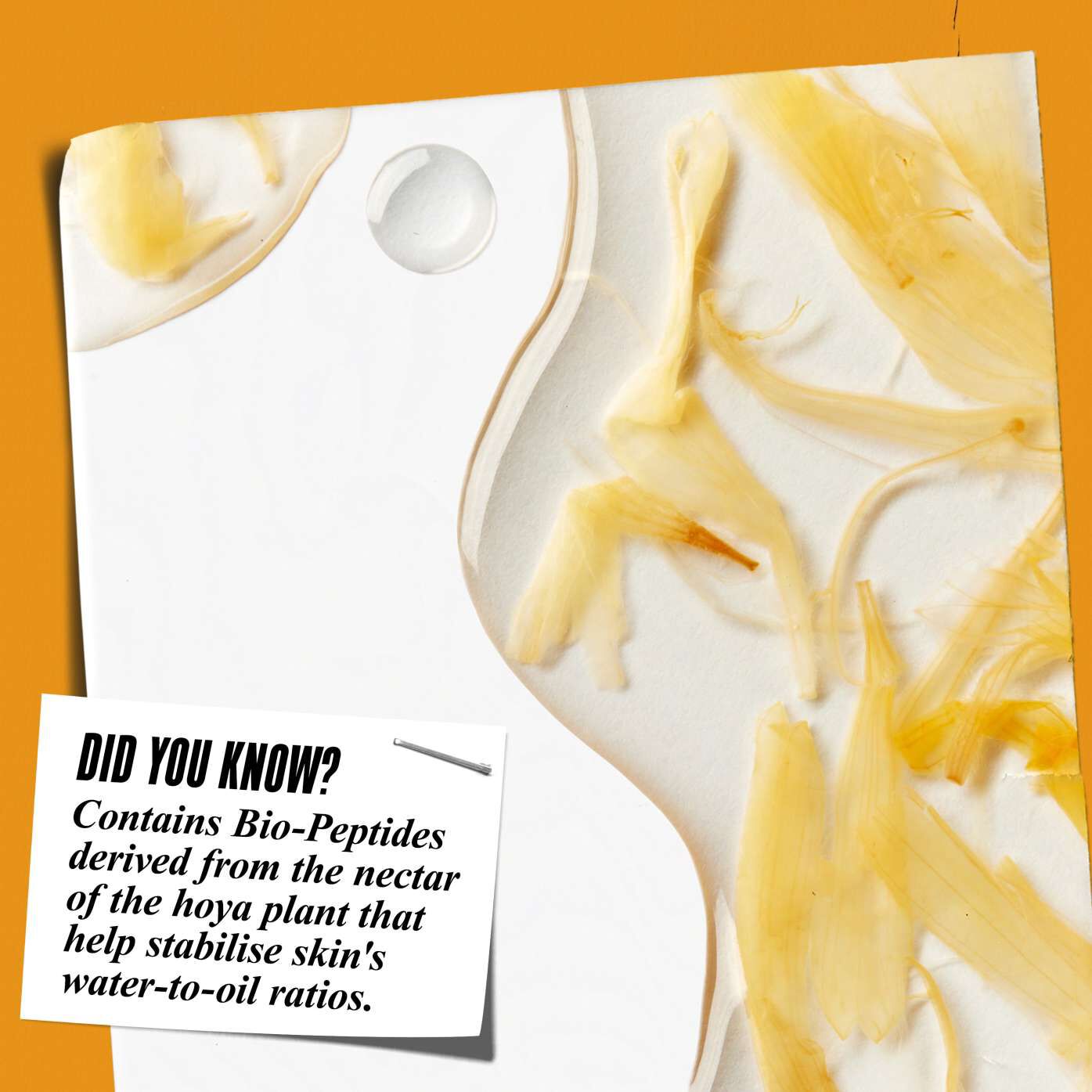 A close-up of the Calendula Herbal-Extract Toner texture with calendula petals and text reading "Did You Know? Contains Bio-Peptides derived from the nectar of the hoya plant that help stabilize skin's water-to-oil-ratios."