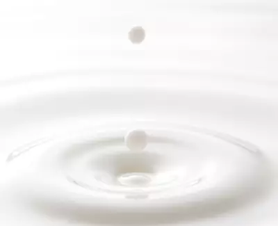A drop of liquid is falling into a white surface, creating ripples in the surrounding liquid.