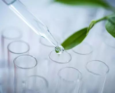 A pipette dropping a liquid into a test tube, with a green leaf nearby, symbolizing a connection between nature and science.