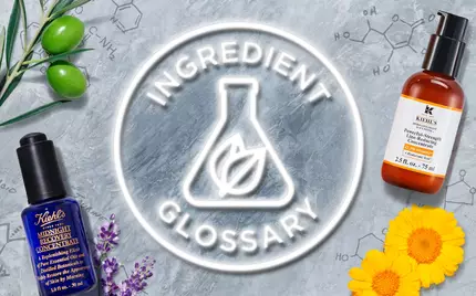 A flat lay of various skincare products, including serums and oils, surrounded by botanical elements like flowers, leaves, and an avocado, with the words "Ingredient Glossary" prominently displayed in the center.
