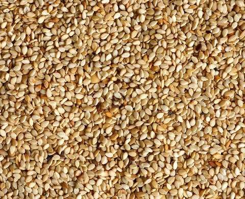 Sesame Seed Oil Kiehl's Ingredient