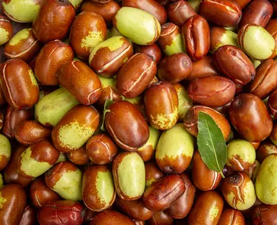 A close-up view of a mixture of brown and green jujube fruits, with varying textures and a few leaves among them.