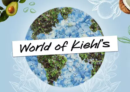 A collage featuring various Kiehl's skincare products and ingredients, arranged around a floral globe, with the text "World of Kiehl's" prominently displayed in the center. The background includes elements like sunflowers, herbs, and vintage photos, creating an inviting and vibrant atmosphere.