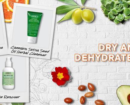 Three skincare products are displayed on a textured white background, featuring labels for "Cortello Sensitive Clean-Cream," "Cannabis Sativa Seed Oil Herbal Cleanser," and "Skin Rescuer." Surrounding them are various natural ingredients like avocado, nuts, and flowers, with the phrase "DRY AND DEHYDRATED SKIN"
