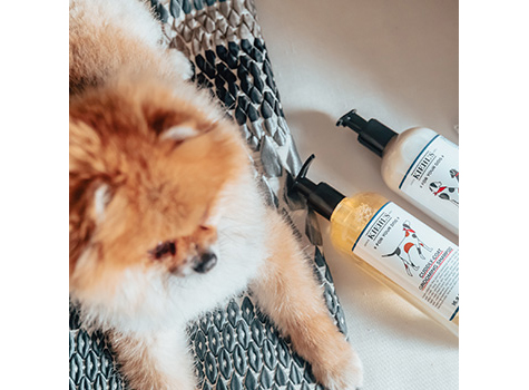 Gifts For Dog