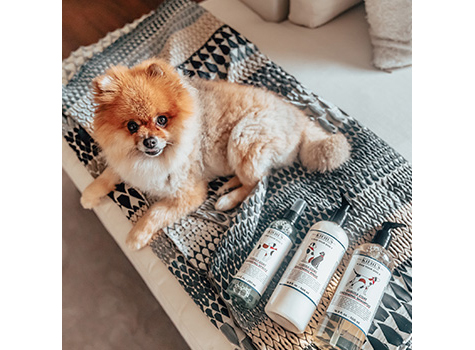 Gifts for Dog