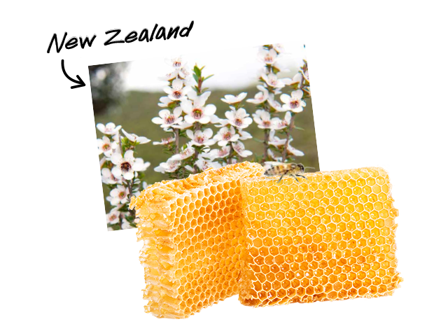 Manuka Honey Comb